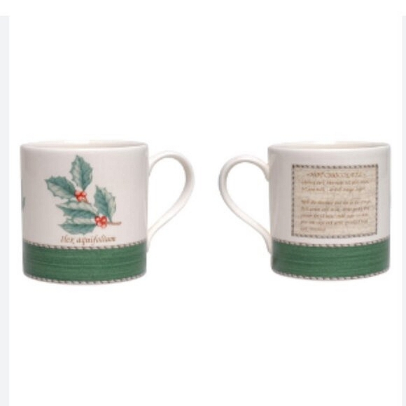 WEDGWOOD | Sarah's Garden Christmas Green Mug Crafted in England |Winter Festive - Picture 9 of 10